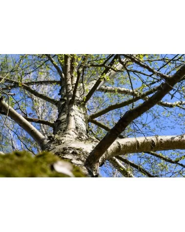 on achete francais - Produit Test 1