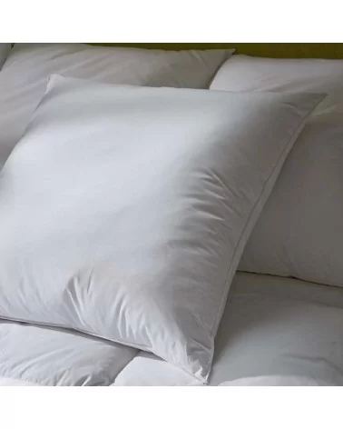 on achete francais - Oreiller Fibre Creuse LUXOTEL 60x60 cm