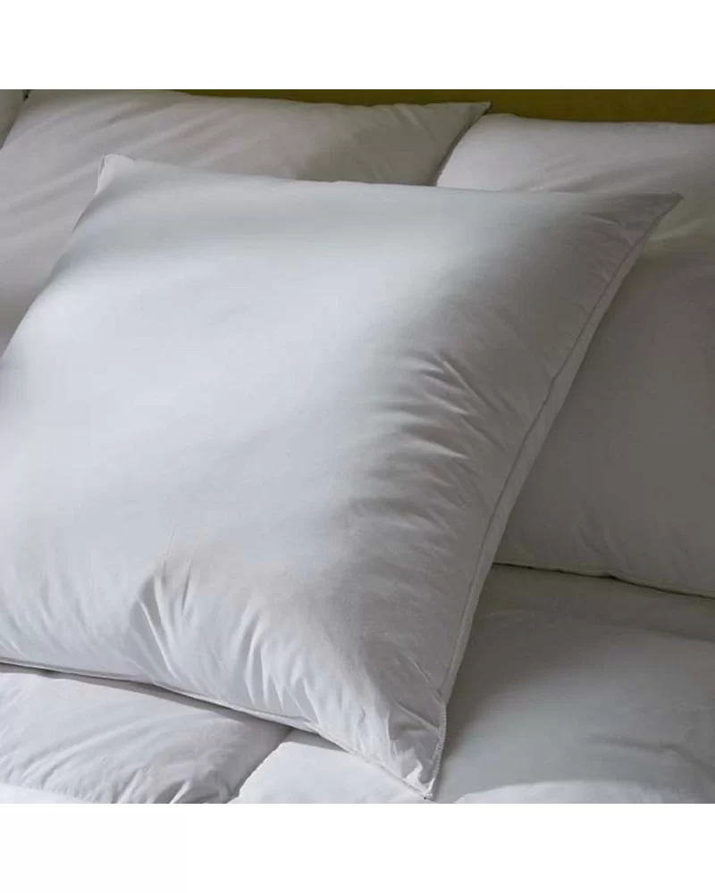 on achete francais - Oreiller Fibre Creuse LUXOTEL 60x60 cm
