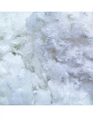 on achete francais - Oreiller Fibre Creuse LUXOTEL 60x60 cm