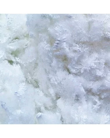 on achete francais - Oreiller Fibre Creuse ALASKA 60x60 cm