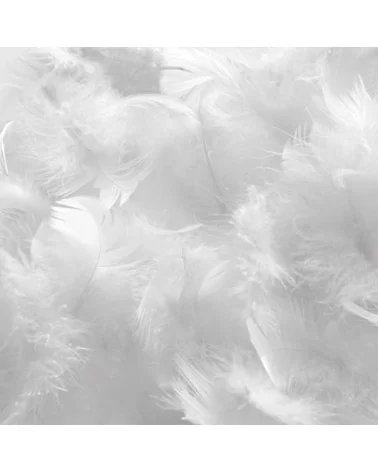 on achete francais - Oreiller NATURA DUVET 65x65 cm