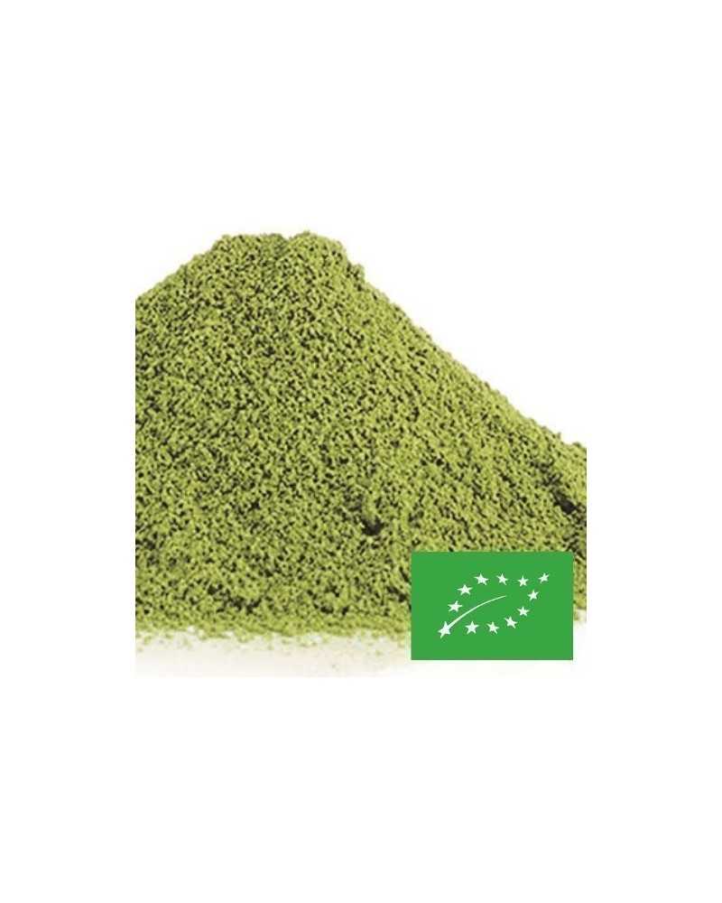 on achete francais - thé en vrac matcha taishan bio bocal 500 gr