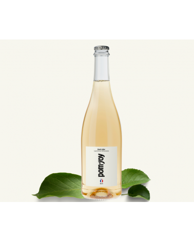 Hard Cider (Cidre 6%) - 6 bouteilles - 75cl