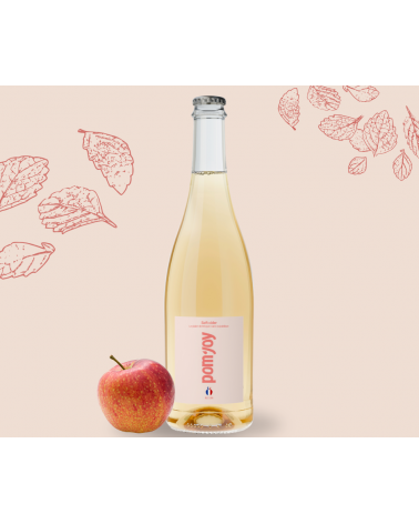 Soft Cider (Cidre 3,5%) - 6 bouteilles - 75cl