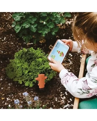 on achete francais - Kit Activité Plante Totem Magique