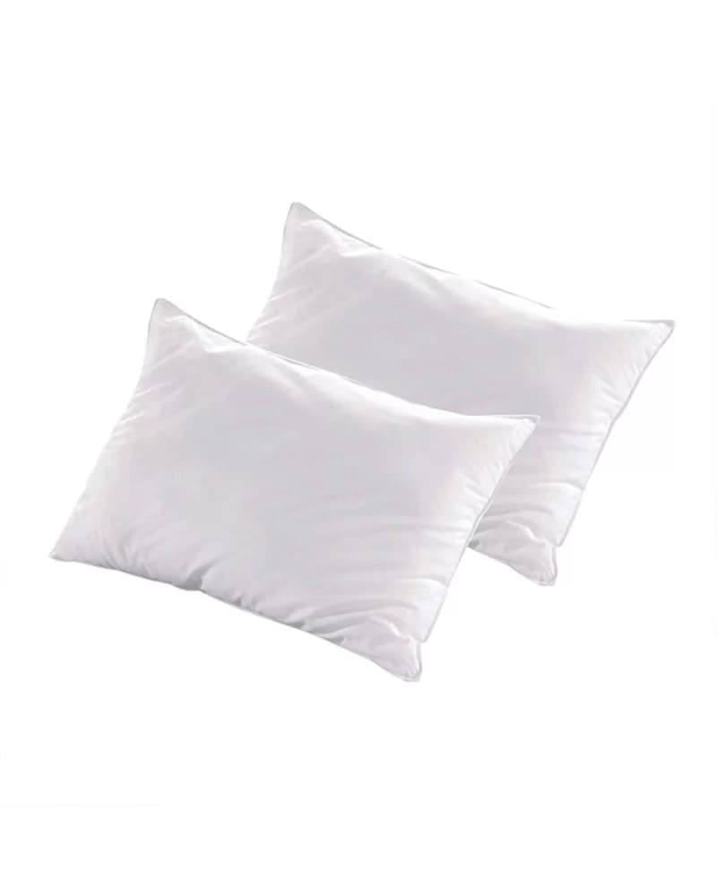 Lot de 2 Oreillers LUXOTEL 40x60 cm