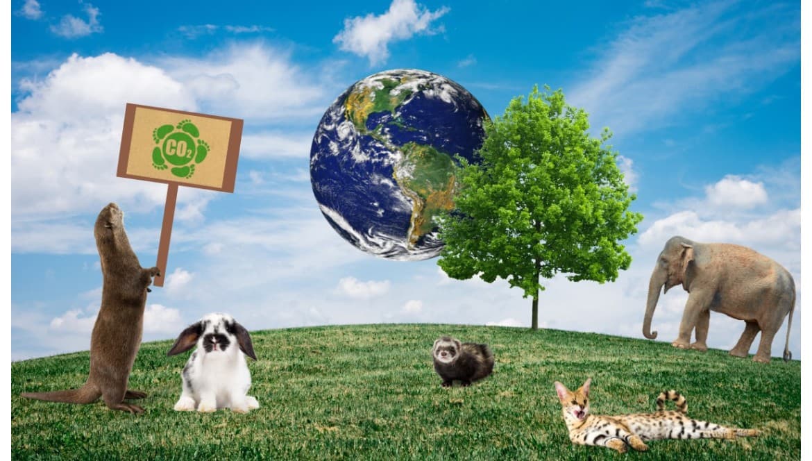 Earth Hour