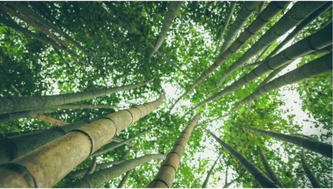 On achète Français devient actionnaire de Time for the Planet !