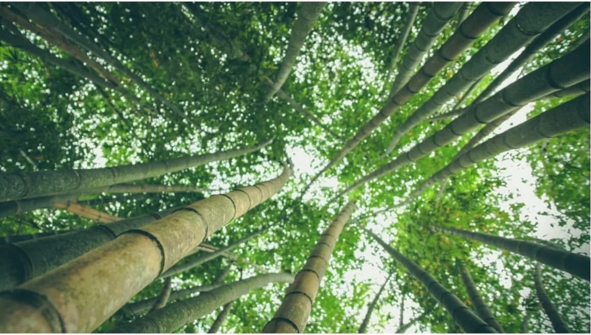 On achète Français devient actionnaire de Time for the Planet !