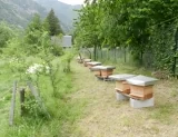 160x160_les_ruchers_du_comte_3.jpg